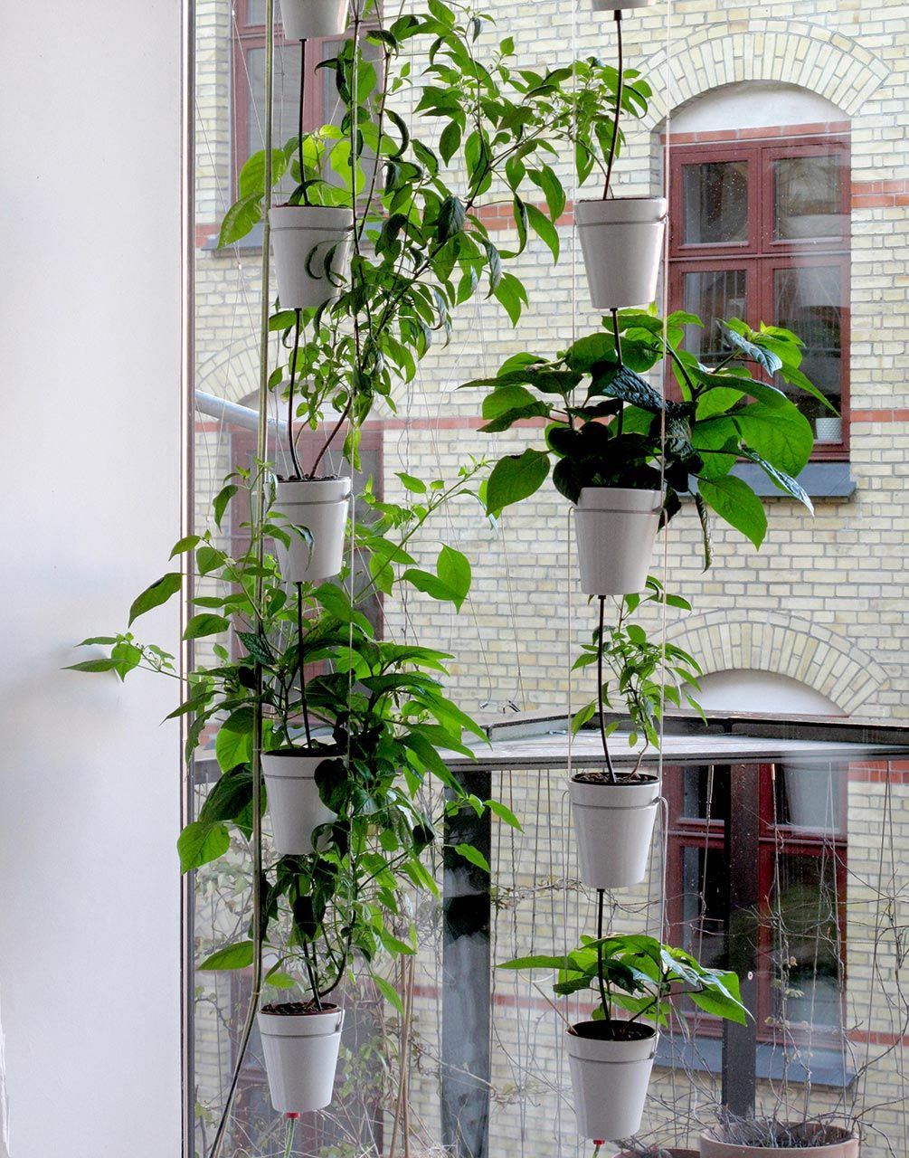 Window Garden Pendant by Danese Artemide Design Accessories
